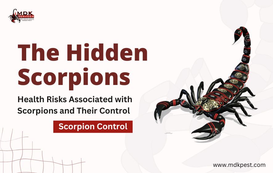 the image about scorpion control services 