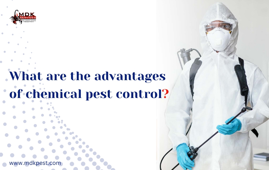 What are the advantages of chemical pest control?